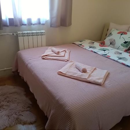 Apartman Nina Vojvode Stepe Vozdovac Vozdivac Ngoại thất bức ảnh