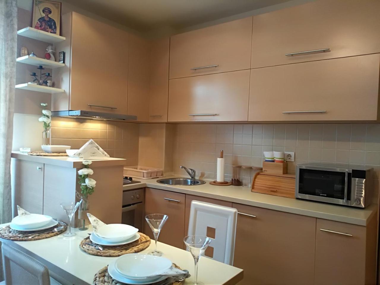 Apartman Nina Vojvode Stepe Vozdovac Vozdivac Ngoại thất bức ảnh